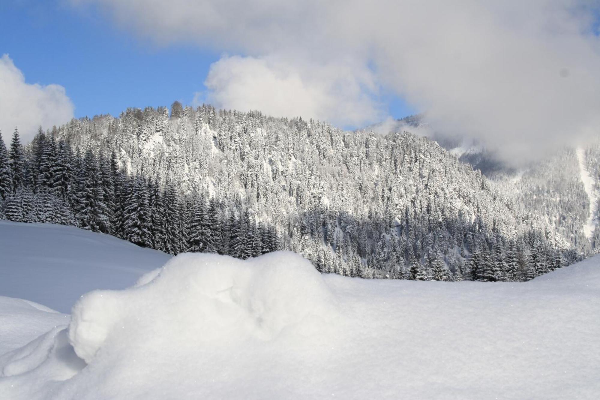 Alpengasthof Oberweissbach Waidring Zewnętrze zdjęcie